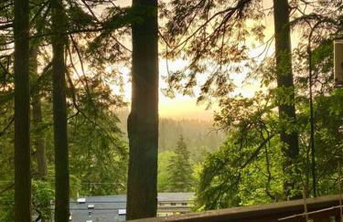 Forest Gallery- Mid-Century Modern With City Views - Photo 9