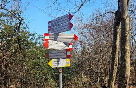 Villa Foresta Menaggio - Foto 7