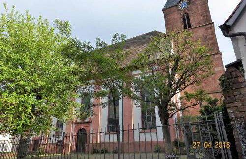 Phönix aus der Asche - Foto 41