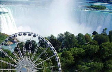 Renovated Main Floor Large 3 Bed House - Photo 31