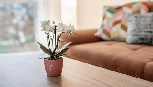 Felsenkeller Appartements - Foto 4