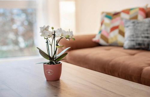 Felsenkeller Appartements - Photo 4