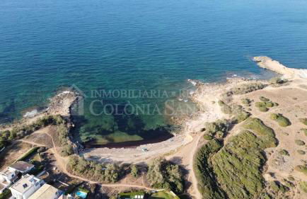 Punta Llarga - Foto 44