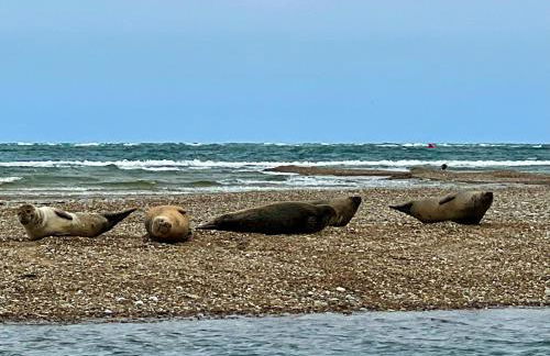 Fisherman's Cottage - Foto 24