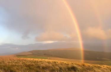 Charming coastal cottage - pet friendly! - Photo 36