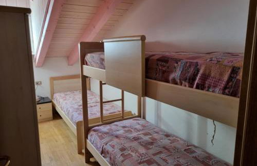 Cesa Alegra - Foto 19