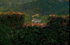 La Marzagrappola - Foto 27