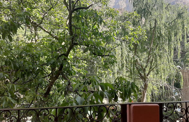 The Best Apartments of Ourika valley - Foto 11