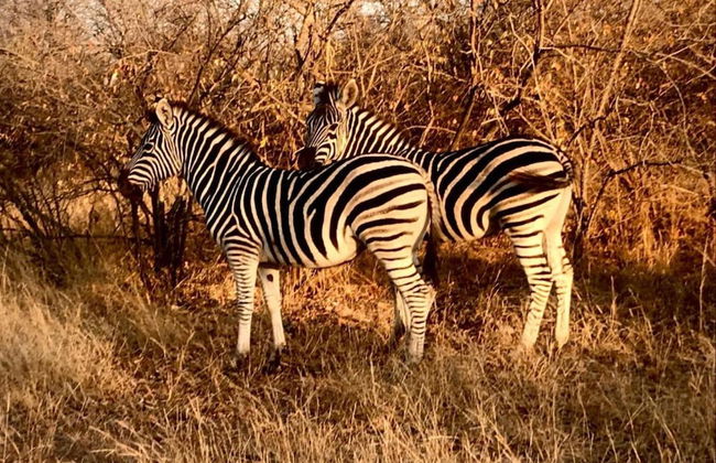 Holiday Home in Hoedspruit With Private Pool - Photo 36