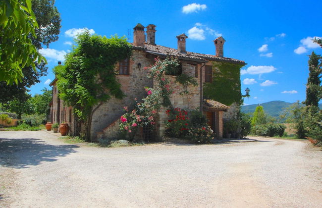 Villa in San Venanzo With Pool and Sauna - Foto 1