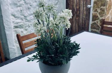 Casa Limón - Photo 32