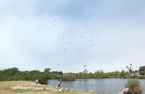 618 Airpark - Foto 33