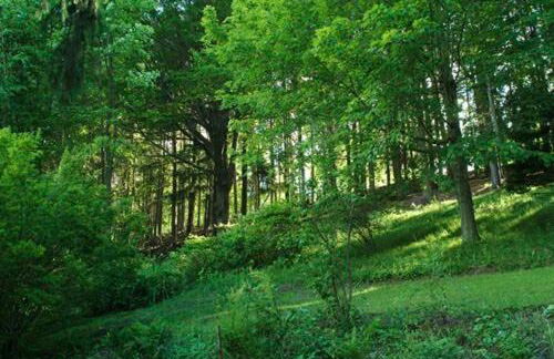 Charm at the foot of the Berkshires - Foto 16