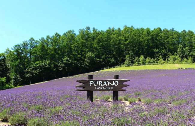 Furano Denen Cottage Nupuri - Foto 26