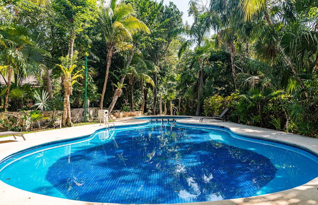 Condo Santuario by Playa Paradise - Photo 25