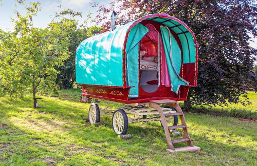 Copperbeech Bowtop - Foto 14