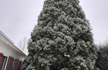Villa Aurelia - Casa de campo con jardín y piscina entre Madrid y Segovia - Photo 67