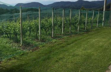 Rural house above the forest - Foto 28