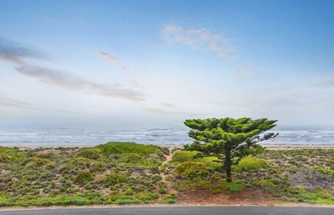 Tahren Beachfront Shack Wifi - Pet-friendly - Photo 13