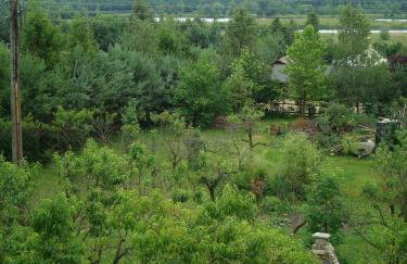 W Starym Sadzie - Foto 14