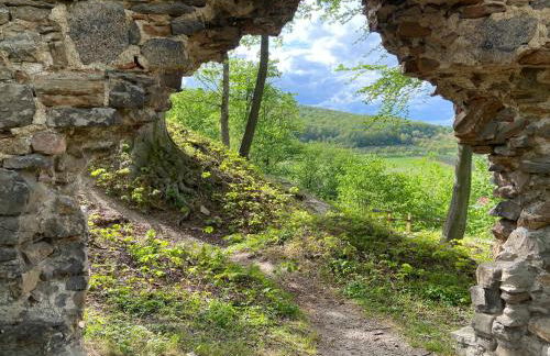 Le petit Palais - Apartments - Foto 35