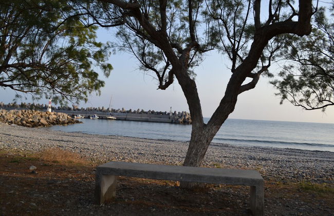 Villa Elena - Photo 36