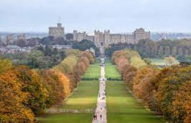 Livestay - One Bed Apt, Free Parking, Sleeps 4 - Foto 22