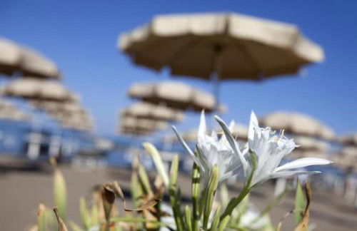 Happy Sea Home - monolocale sul mare - Foto 14