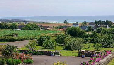 Les hortensias de papy - Foto 2