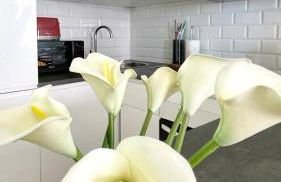 Puerto Paraiso Estepona port - Photo 22