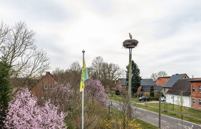 Studio in Buchholz am Muritzsee - Foto 30