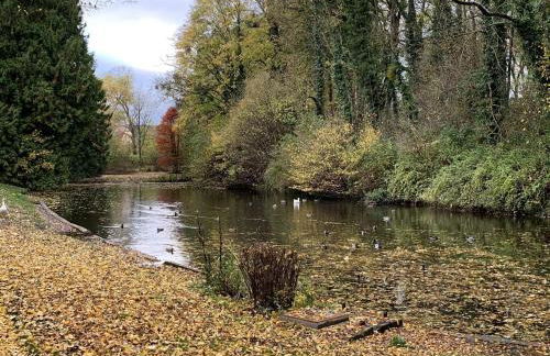 Ferienwohnung Weitblick - Photo 35
