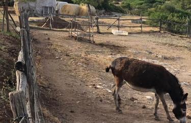 Villino Odaldo - Foto 49