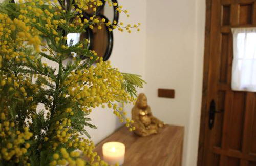 Alojamiento turistico LaVid - Foto 1