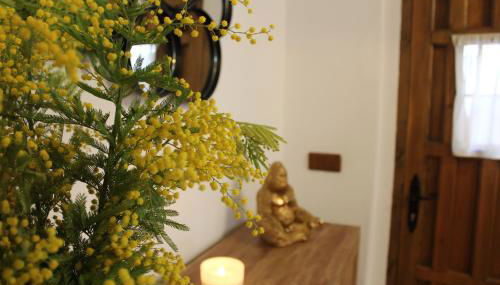 Alojamiento turistico LaVid - Foto 1