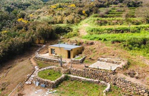 El Pino Centenario 3 - Foto 7