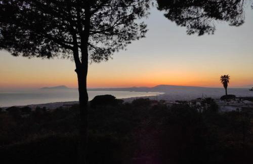 Dimora degli Ulivi B - Vesuvio - Foto 13