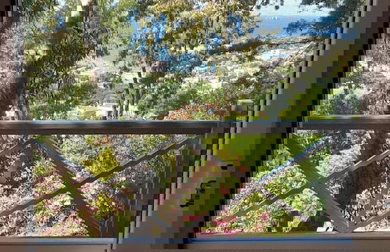 Sole Foca ( Ages 12+ ) - Foto 41