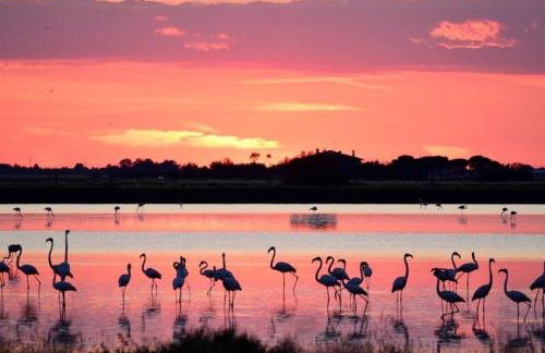 Lido degli Scacchi Sea view Apartment - Beach included - Foto 17