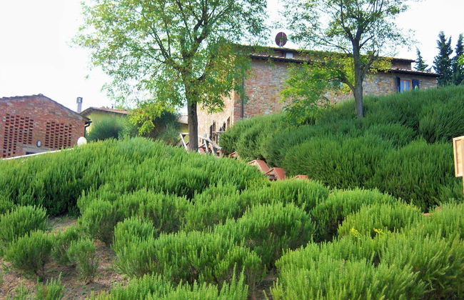 Farmhouse in Tuscany With Pool & Wine Tasting - Foto 22