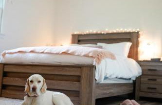 Rose Ranch - Charming Country Home - Foto 38