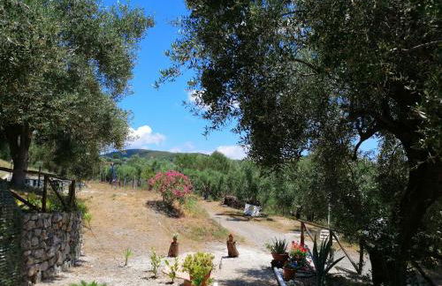 B&B Borgo San Antonio - Foto 45