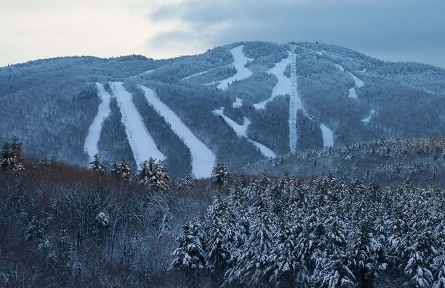 Brook Road Condo - Photo 19