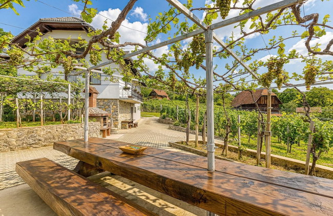 Vineyard Homestead Vrtin - Foto 39