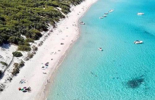 Monte Santu T2 - Foto 15