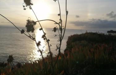 O Antigo Lagar - Photo 54