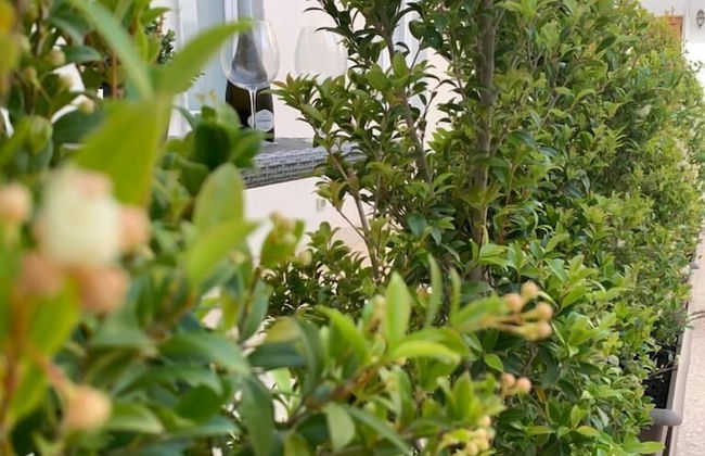 Thalya Luxury Rooms - Foto 33