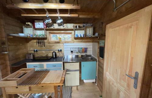 Retro Lodge nr Dartmoor with hot tub & opt sauna - Foto 17