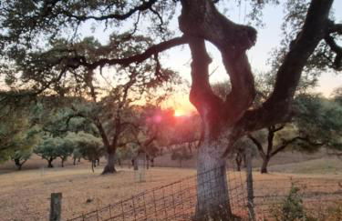 Corteganillas - Foto 20