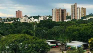 Apartamento compartilhado comigo mais 2 felinos - Foto 3